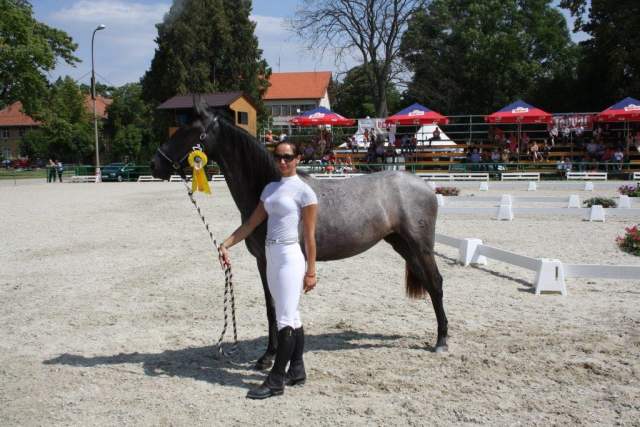 neapolitanoxv-7marinela